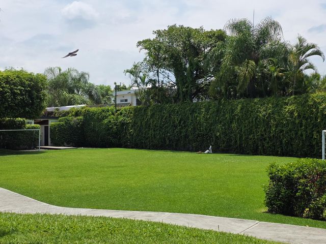 place photo 45