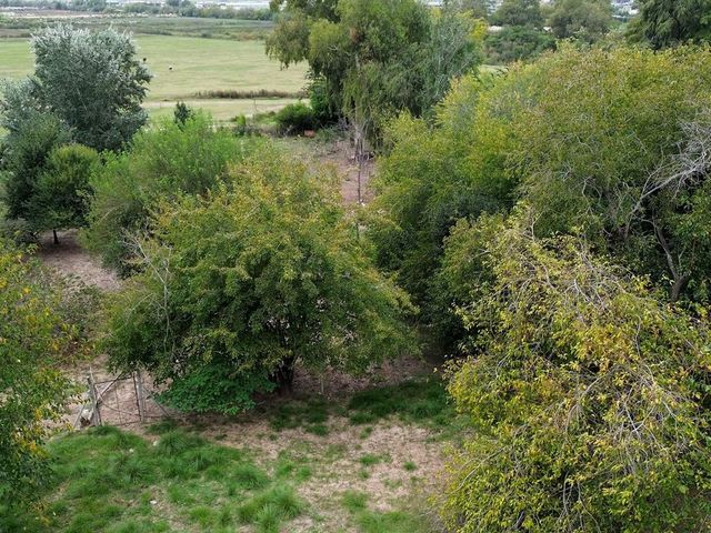 place photo 69