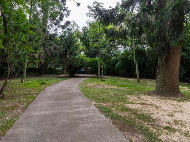 place photo 64