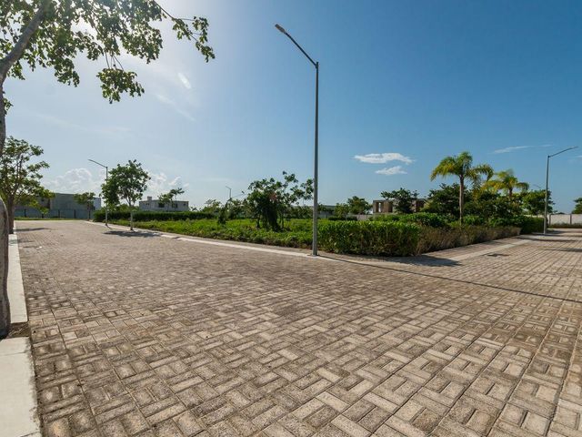 place photo 23