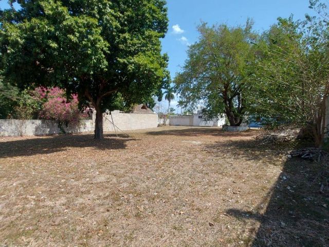 place photo 26