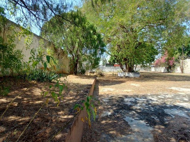 place photo 45