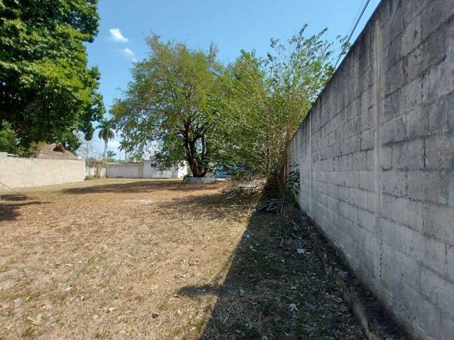 place photo 38