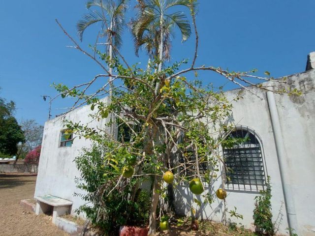 place photo 29