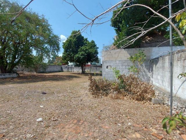 place photo 46