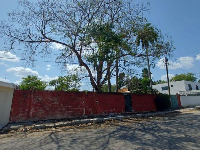 place photo 39