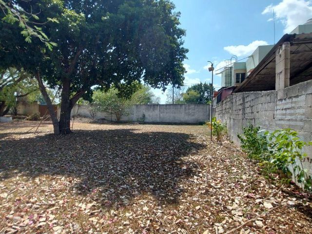 place photo 43