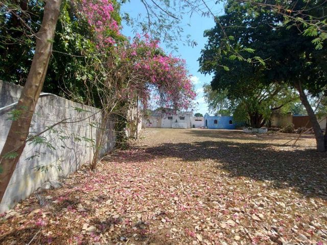 place photo 30