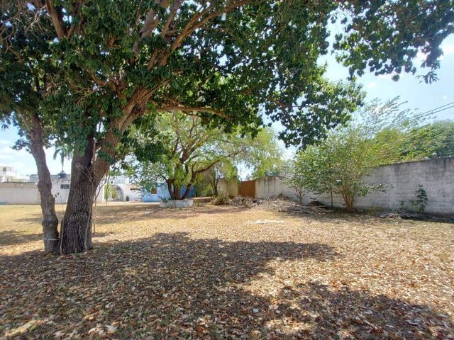 place photo 42