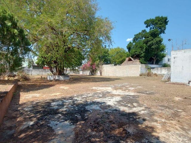 place photo 33