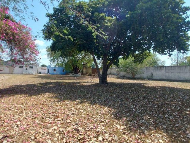 place photo 44