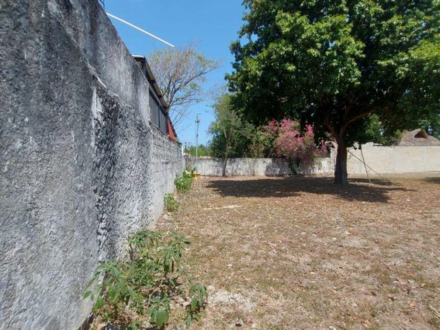 place photo 41