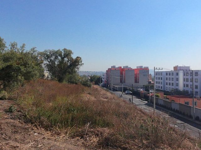place photo 16