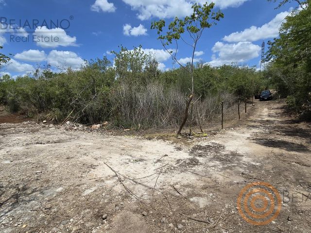 place photo 20