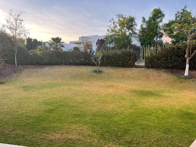 place photo 41