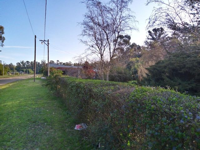 place photo 30