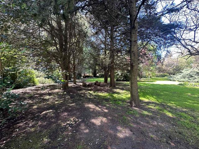 place photo 61
