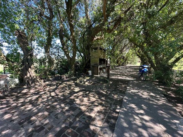 place photo 35