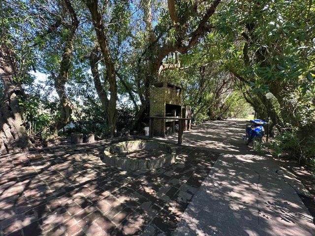 place photo 46