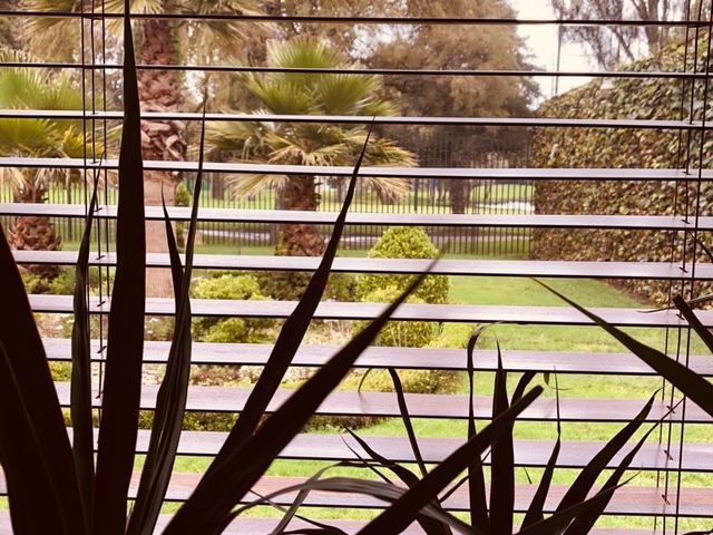 place photo 52