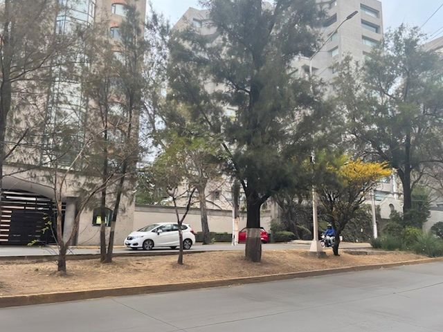 place photo 14