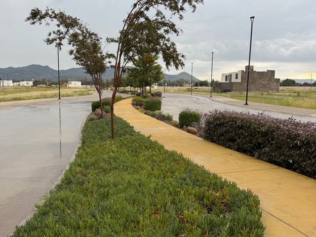 place photo 11