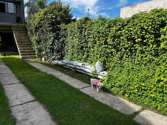 place photo 47