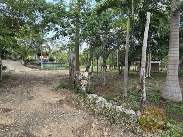 place photo 18