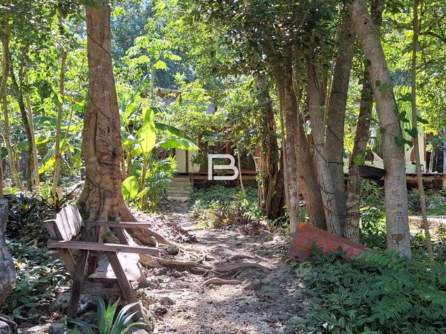 place photo 17