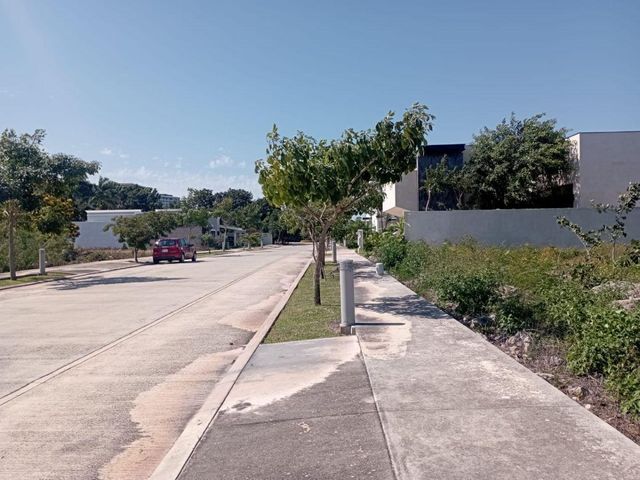 place photo 5