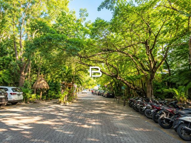 place photo 21