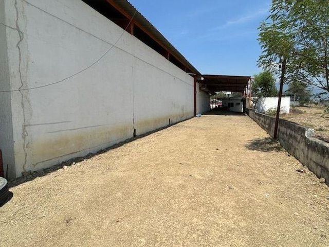 place photo 26