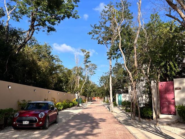 place photo 39