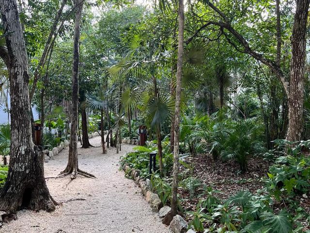 place photo 35