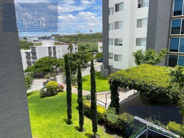 place photo 47