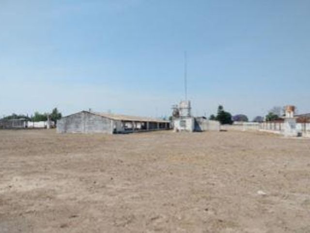 place photo 6