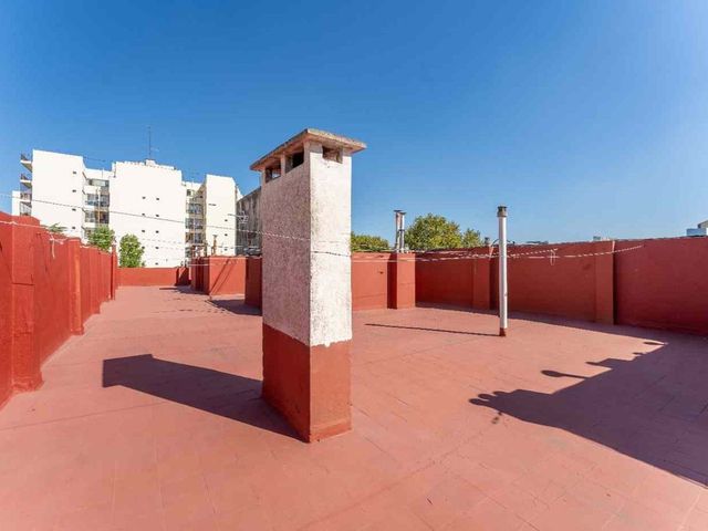place photo 37