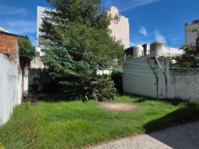 place photo 50