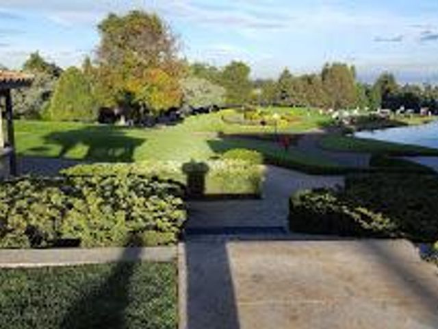 place photo 24