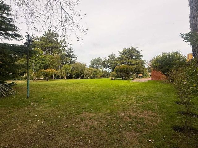place photo 34