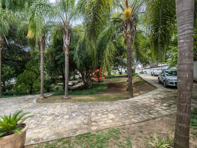place photo 21