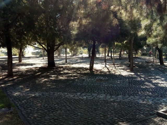 place photo 39