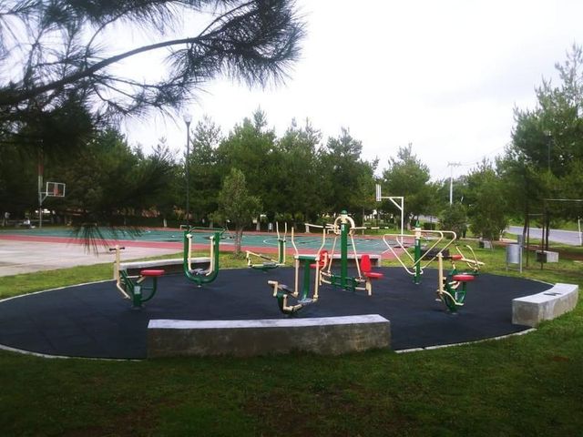 place photo 28