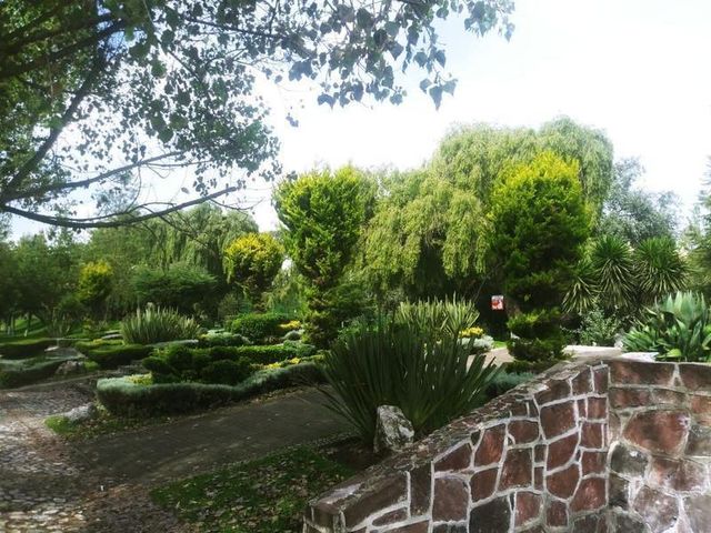 place photo 33