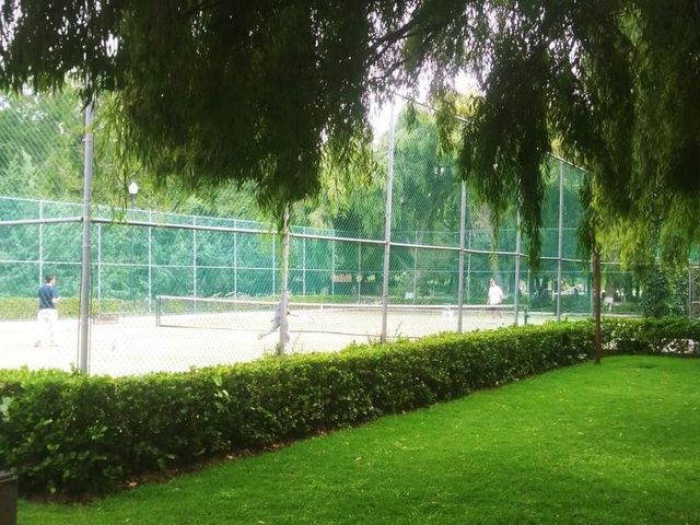 place photo 34