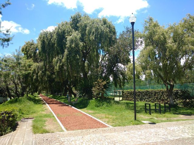 place photo 38