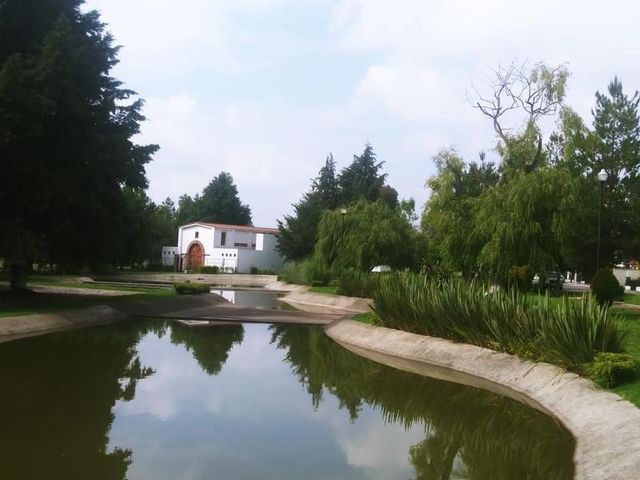 place photo 30