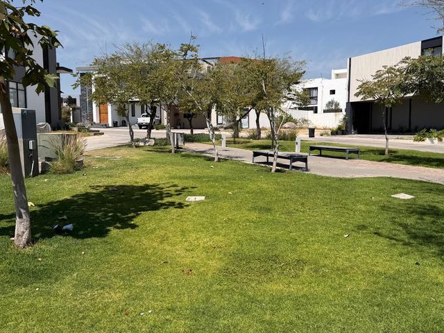 place photo 36