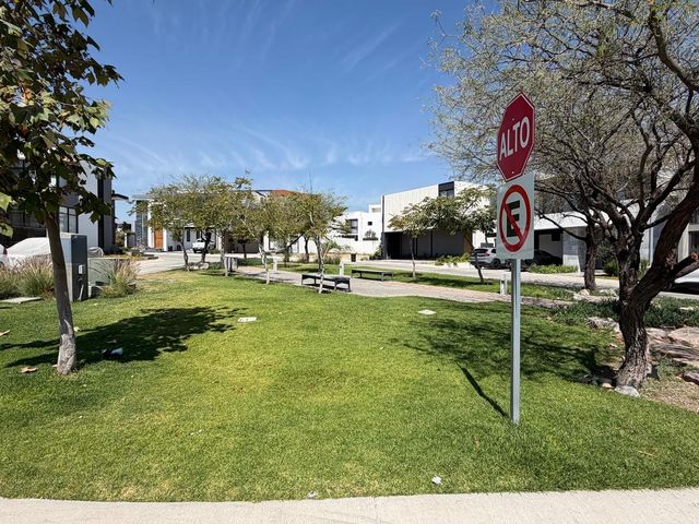 place photo 37