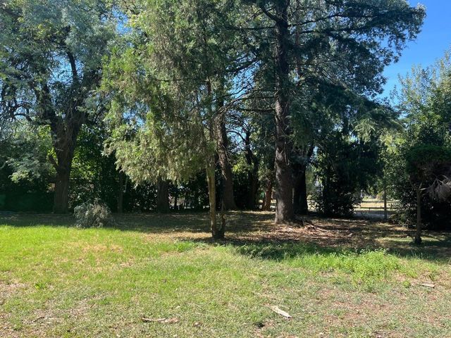 place photo 21